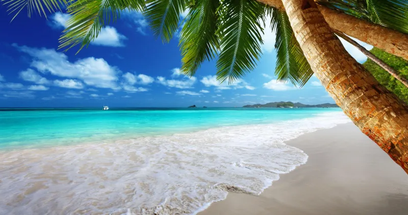 Your Skin Is Taking a Beating at the Beach — Here's How to Protect It Without Slowing Down